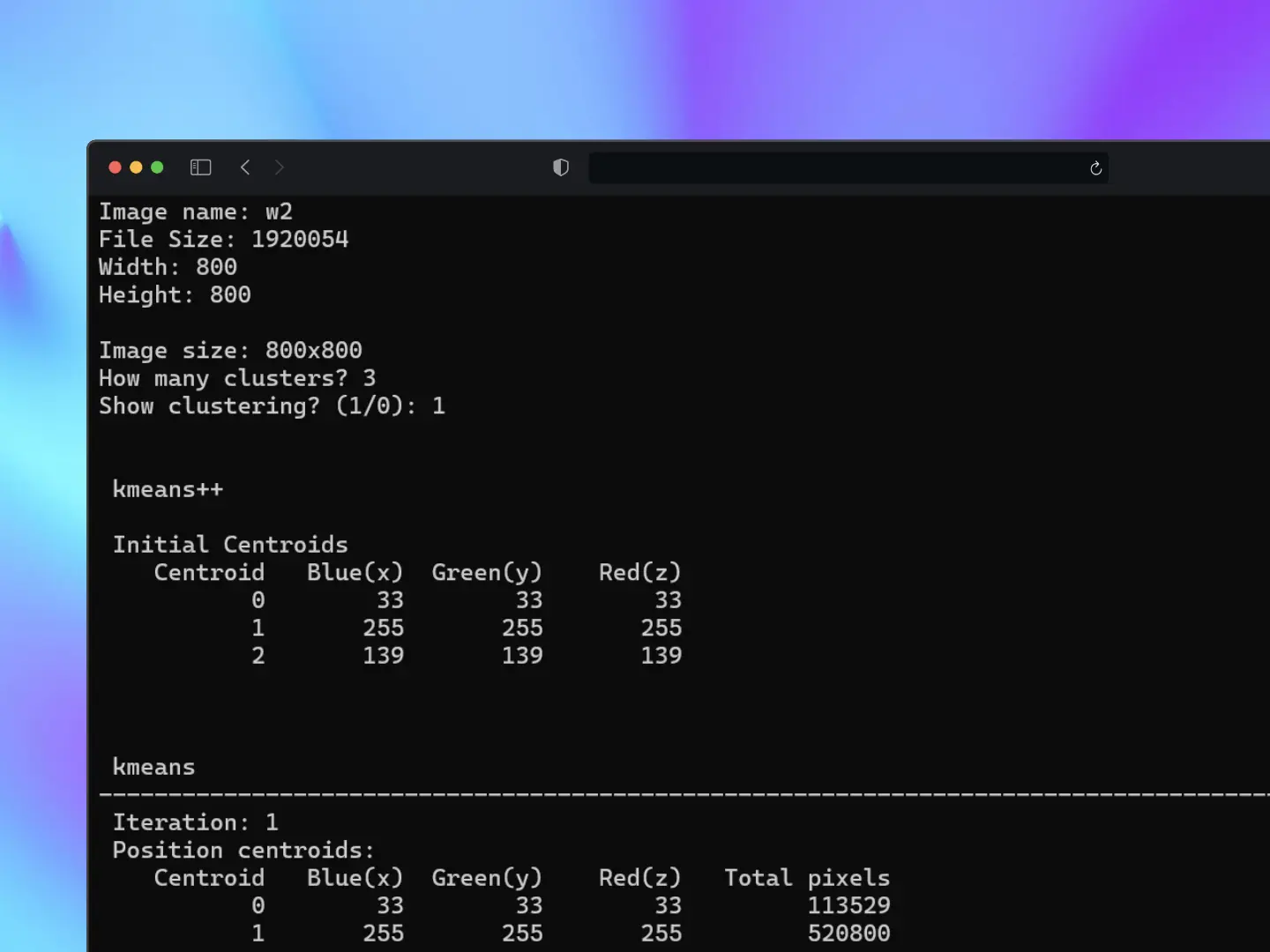 Binary Classificator project image